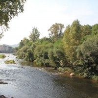 IMG_0028 IMG_0028