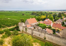 Die mittelalterliche Fleckenmauer Die mittelalterliche Fleckenmauer