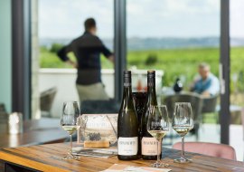 Wein & Schwein Weingut Braunewell, © Carsten Costard Wein & Schwein Weingut Braunewell, © Carsten Costard