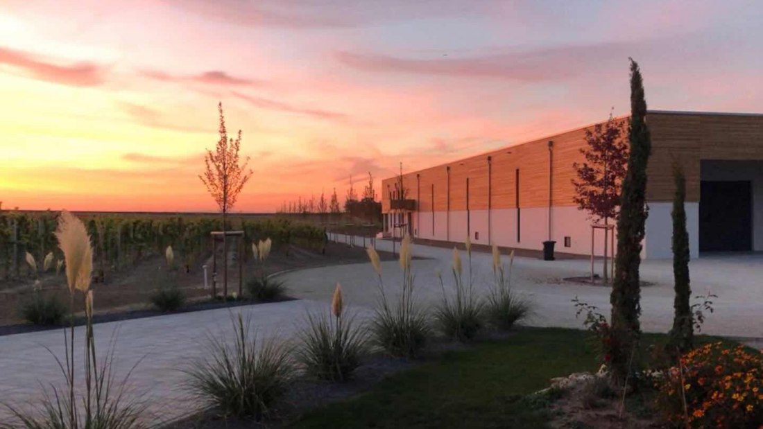 Abendstimmung, © Weingut Thörle Abendstimmung, © Weingut Thörle