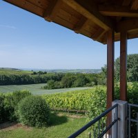Aussicht von Turm © Verbandsgemeinde Gau-Algesheim Aussicht von Turm © Verbandsgemeinde Gau-Algesheim