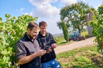 Weingut Geil_Winzer, © Weingut Geil Weingut Geil_Winzer, © Weingut Geil