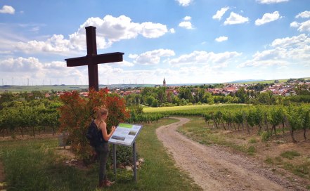 IMG_20200612_153806 IMG_20200612_153806