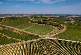 Albiger Hundskopf Albiger Hundskopf