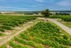 Volxheimer Liebfrau Volxheimer Liebfrau