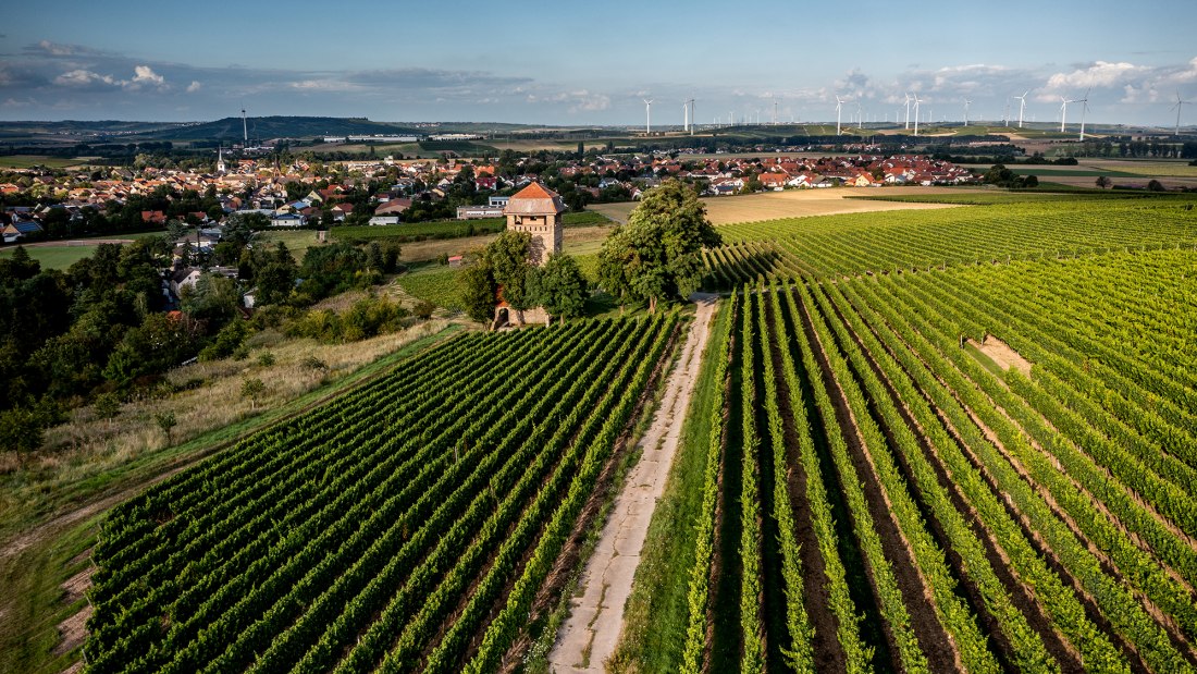 Wöllsteiner Ölberg Wöllsteiner Ölberg