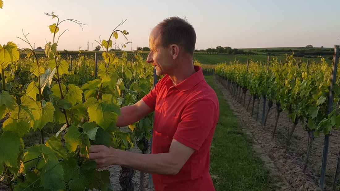 Weingut Johann P. Beyer_Winzer, © Weingut Johann P. Beyer Weingut Johann P. Beyer_Winzer, © Weingut Johann P. Beyer