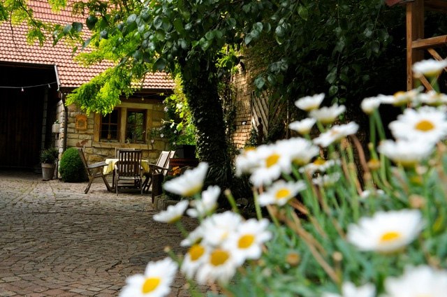Weingut Dechent_Hof Sitzplatz, © Weingut Dechent Weingut Dechent_Hof Sitzplatz, © Weingut Dechent