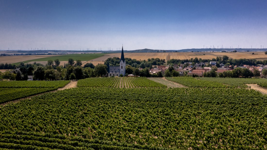 Gabsheimer Rosengarten Gabsheimer Rosengarten