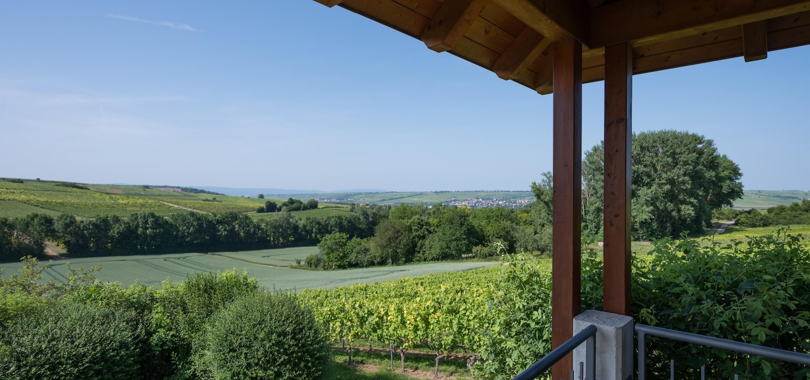 Aussicht von Turm, © Verbandsgemeinde Gau-Algesheim Aussicht von Turm, © Verbandsgemeinde Gau-Algesheim