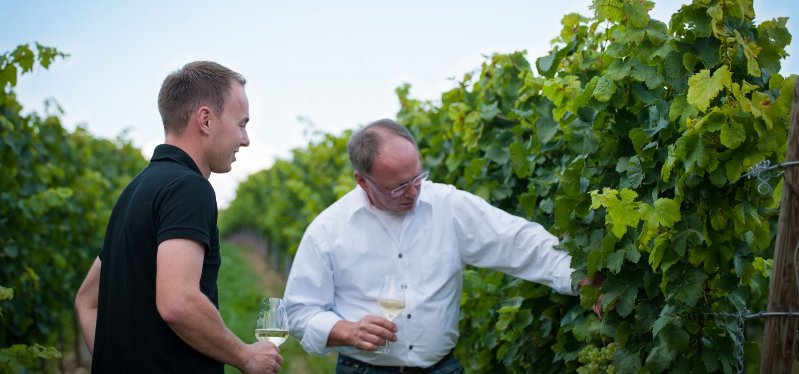 Weingut_Fritzsch_Sprendlingen_k Weingut_Fritzsch_Sprendlingen_k
