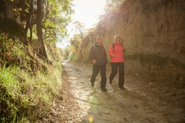 Hohlewege bei Mettenheim, © Michael Zellmer Hohlewege bei Mettenheim, © Michael Zellmer
