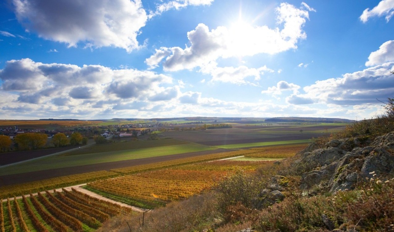 Herbstfarben Rheinhessen Herbstfarben Rheinhessen