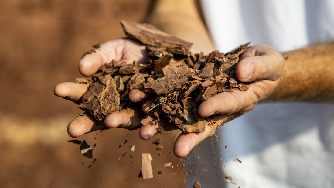Weingut Raddeck_Hände Weingut Raddeck_Hände