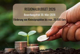 Template Regionalbudget Template Regionalbudget