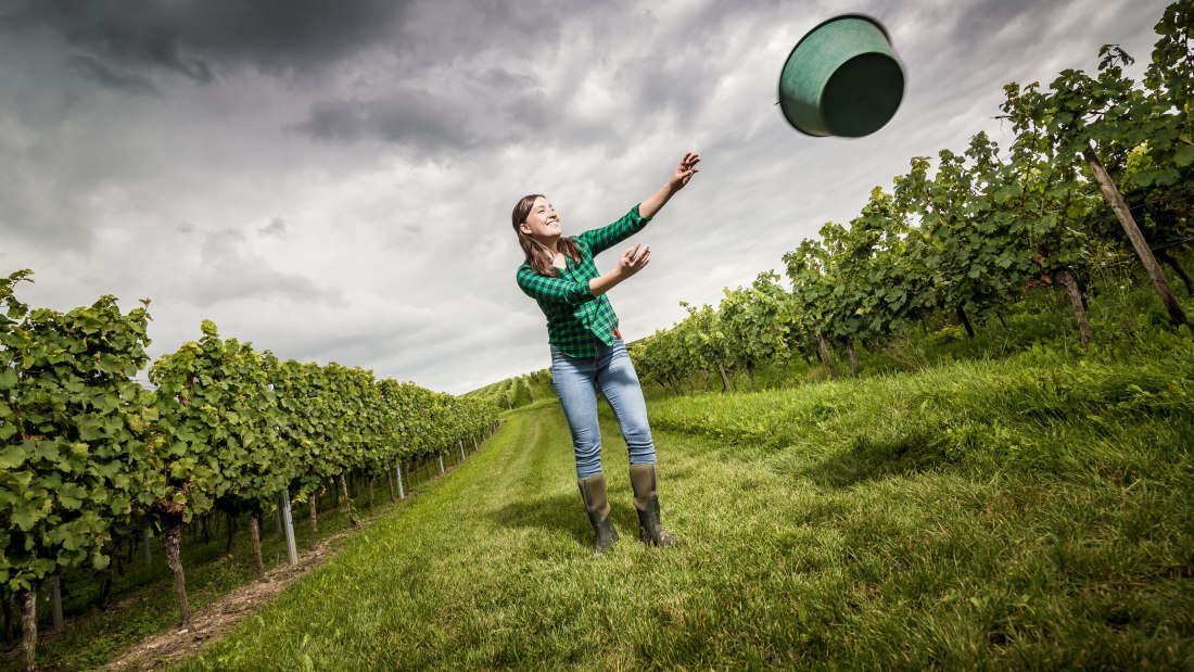 Weingut Bretz_Victoria, © Weingut Bretz Weingut Bretz_Victoria, © Weingut Bretz