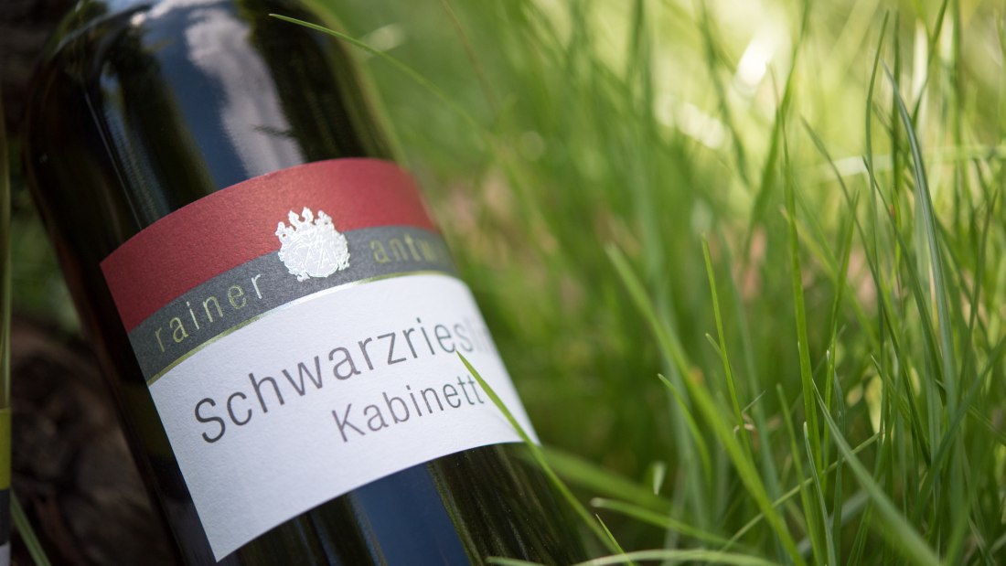 Weingut Antweiler_Schwarzriesling, © Weingut Antweiler Weingut Antweiler_Schwarzriesling, © Weingut Antweiler