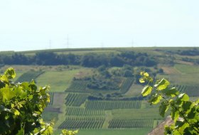 Kloppberg © Verbandsgemeinde Wonnegau / Michael Thier Kloppberg © Verbandsgemeinde Wonnegau / Michael Thier