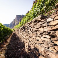 Der Rotenfels im Vordergrund die Traiser Bastei © Weinland Nahe e.V./ Moritz Attenberger Der Rotenfels im Vordergrund die Traiser Bastei © Weinland Nahe e.V./ Moritz Attenberger