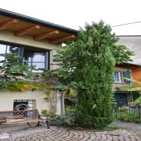 GB-Ferienhaus-2-768x1155 GB-Ferienhaus-2-768x1155