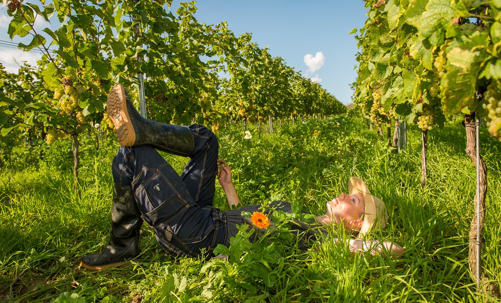 Weingut Schönhals_Gruüeberufe, © Weingut Schönhals Weingut Schönhals_Gruüeberufe, © Weingut Schönhals