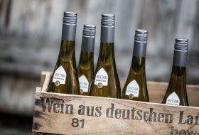 Selection Rheinhessen Selection Rheinhessen
