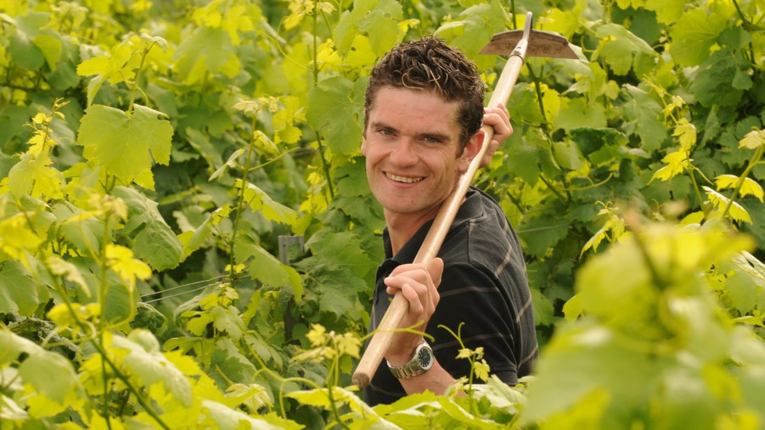 Weingut Norbert Michel_Winzer, © Weingut Norbert Michel Weingut Norbert Michel_Winzer, © Weingut Norbert Michel