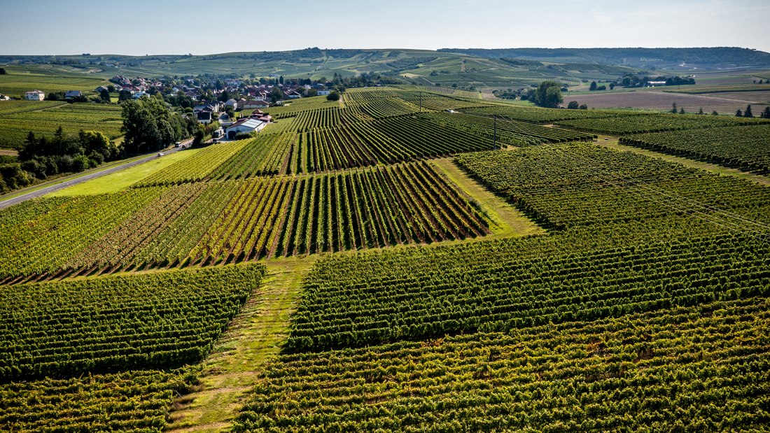 Gensinger Goldberg Gensinger Goldberg