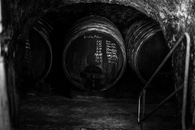 Weingut Brandt_Keller, © Weingut Brandt Weingut Brandt_Keller, © Weingut Brandt