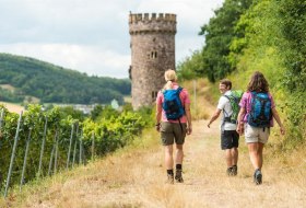 Weg zum Ajaxturm © Dominik Ketz Weg zum Ajaxturm © Dominik Ketz