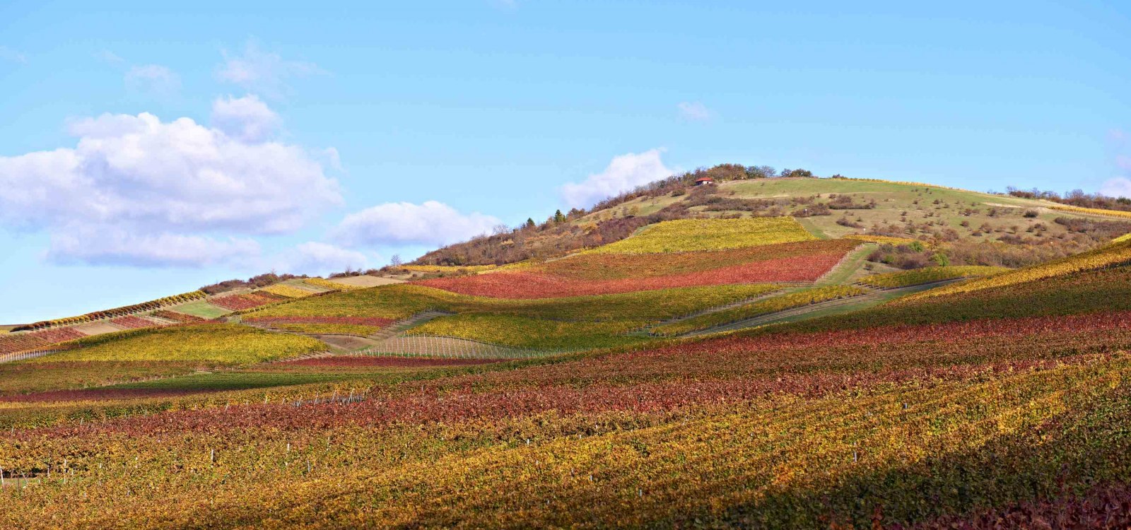 Herbst_1 Herbst_1