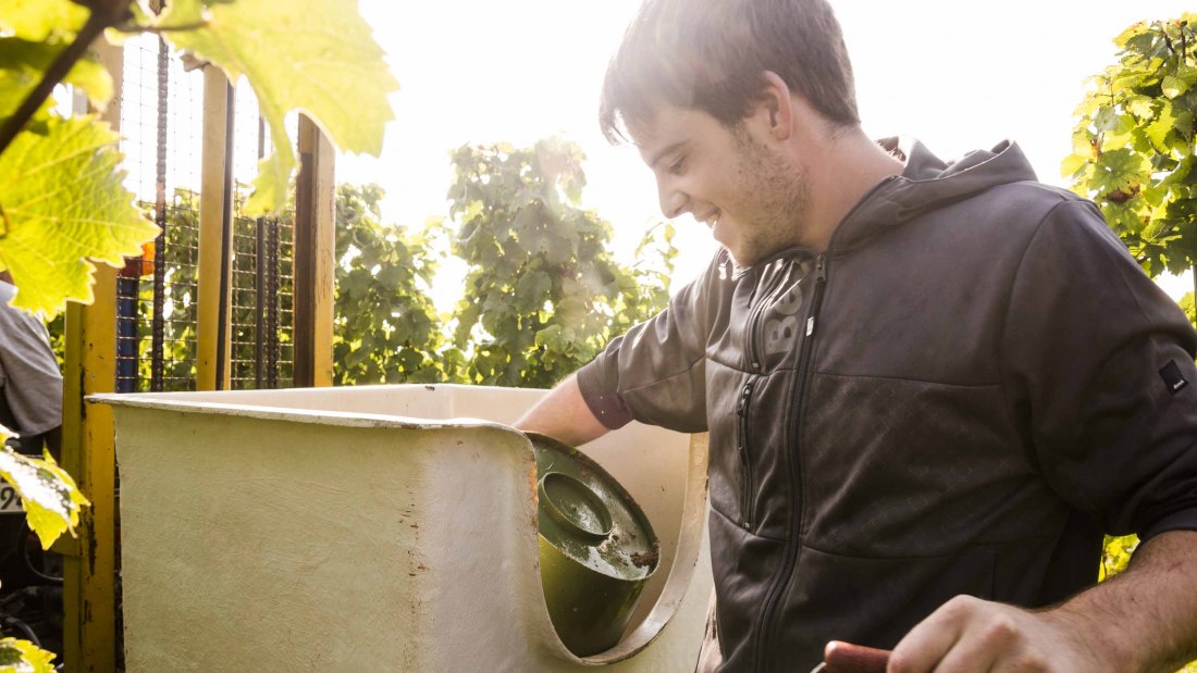 Weingut Freitag_Winzer, © Weingut Freitag Weingut Freitag_Winzer, © Weingut Freitag