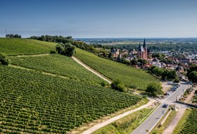 Oppenheimer Kreuz Oppenheimer Kreuz