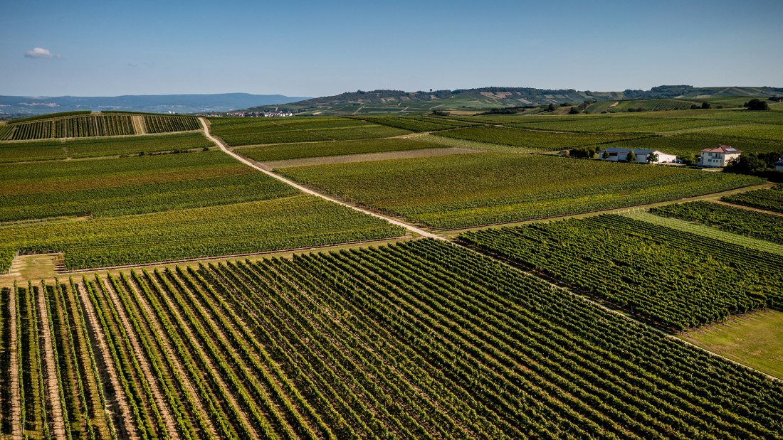 Gensinger Goldberg Gensinger Goldberg