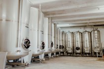 Weingut Kleemann_Keller, © Julia Hess Fotografie Weingut Kleemann_Keller, © Julia Hess Fotografie