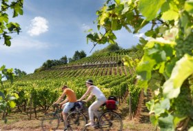 Radeln an der berühmten Weinlage "Roter Hang" © Georg Knoll Radeln an der berühmten Weinlage "Roter Hang" © Georg Knoll