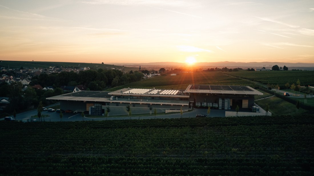 Weingut Dreissigacker_Weingut, © Weingut Dreissigacker Weingut Dreissigacker_Weingut, © Weingut Dreissigacker