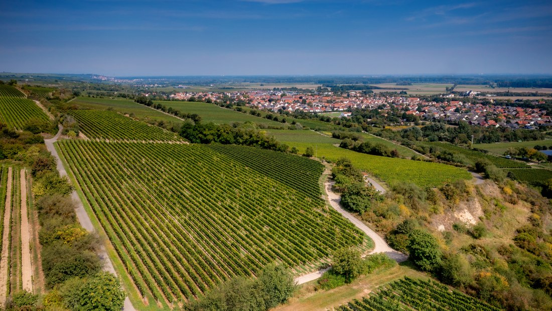 Guntersblumer Himmelthal Guntersblumer Himmelthal