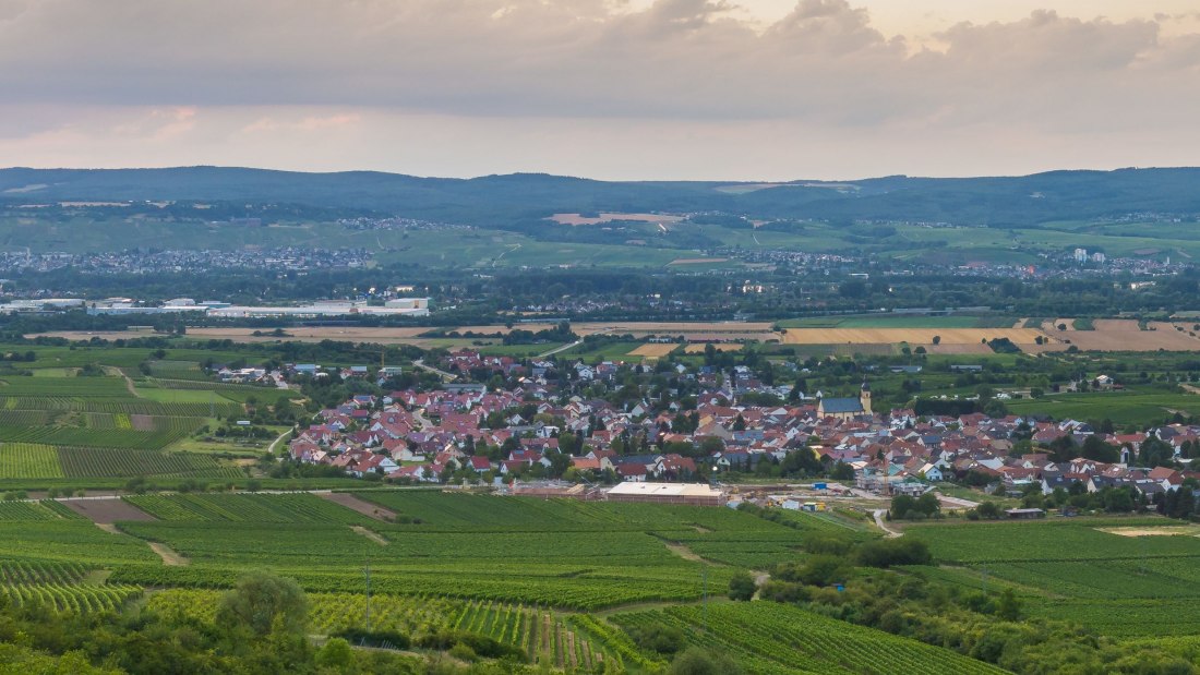 FamilienWeinGut Feser_Jakobsberg, © FamilienWeinGut Feser FamilienWeinGut Feser_Jakobsberg, © FamilienWeinGut Feser