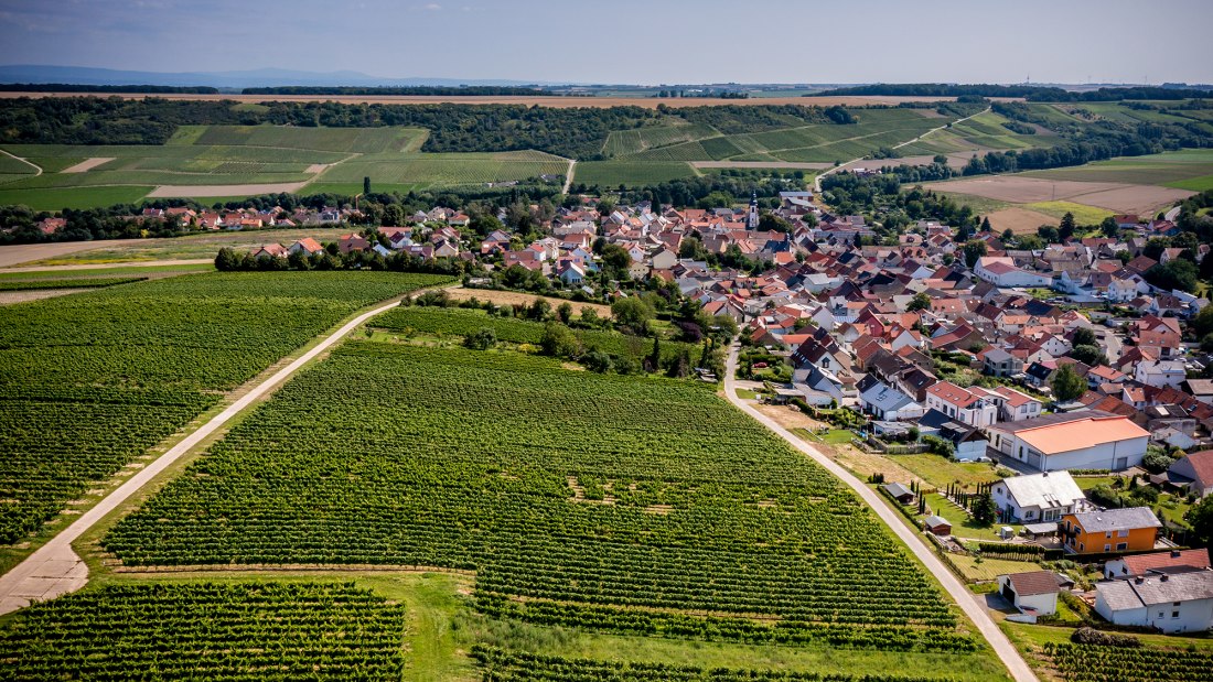 Appenheimer Eselspfad Appenheimer Eselspfad