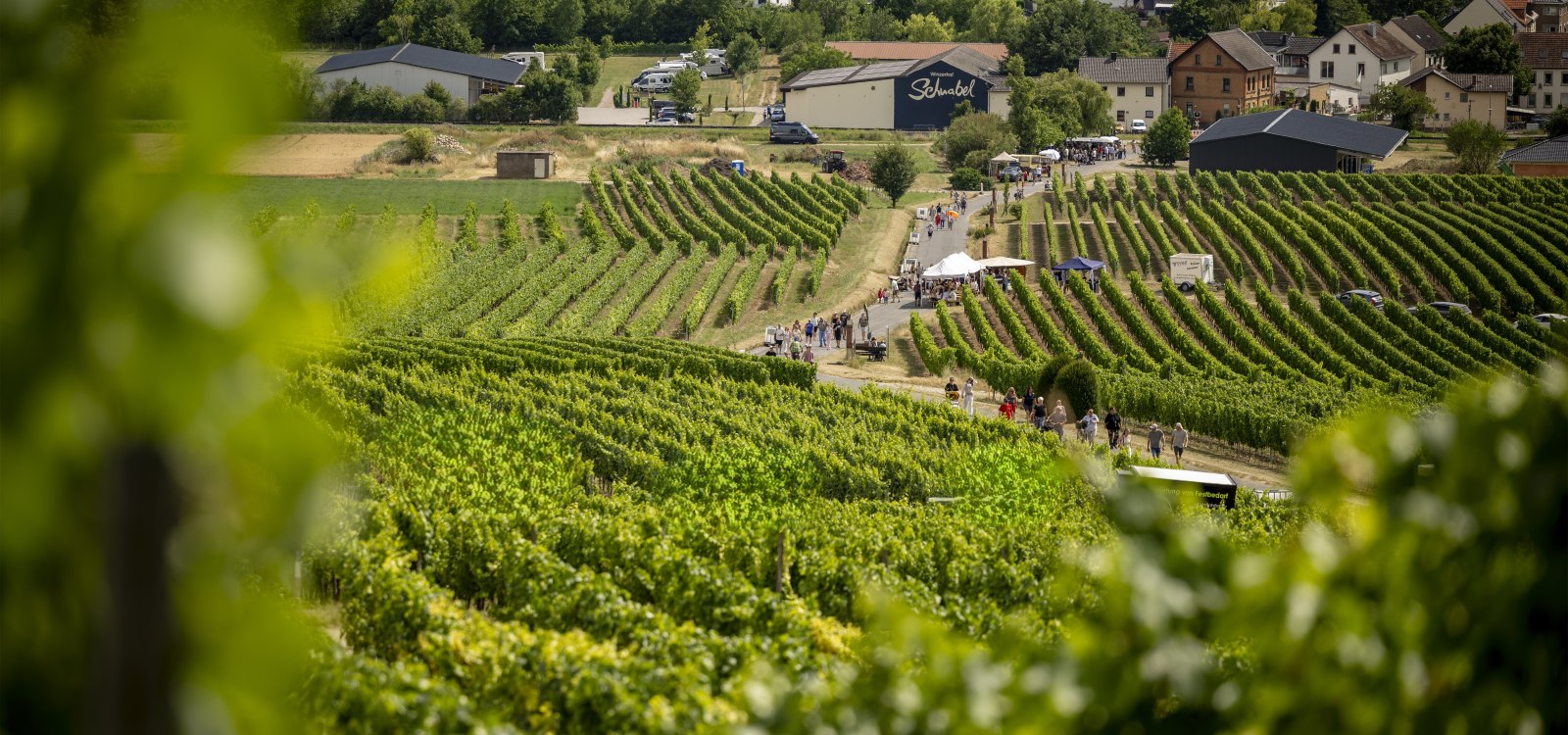 Weinwanderung - Wein erleben im Wißberg, © CC-BY Rheinhessenwein e.V./Torsten Silz Weinwanderung - Wein erleben im Wißberg, © CC-BY Rheinhessenwein e.V./Torsten Silz