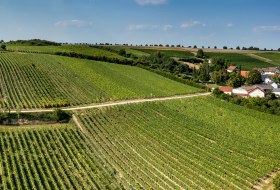 Vendersheimer Sonnenberg Vendersheimer Sonnenberg