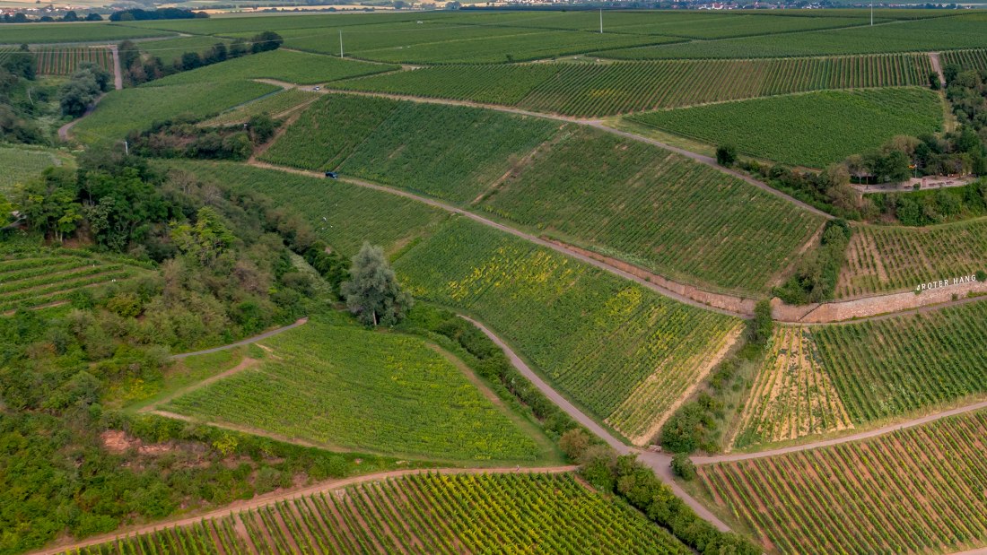 Niersteiner Brudersberg Niersteiner Brudersberg