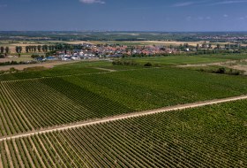 Mörstadter Nonnengarten Mörstadter Nonnengarten