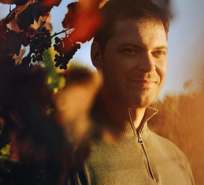 Lorenz_in_Weinrebe, © Weingut Lorenz Lorenz_in_Weinrebe, © Weingut Lorenz