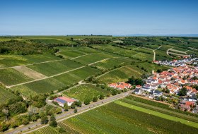 Dienheimer Falkenberg Dienheimer Falkenberg