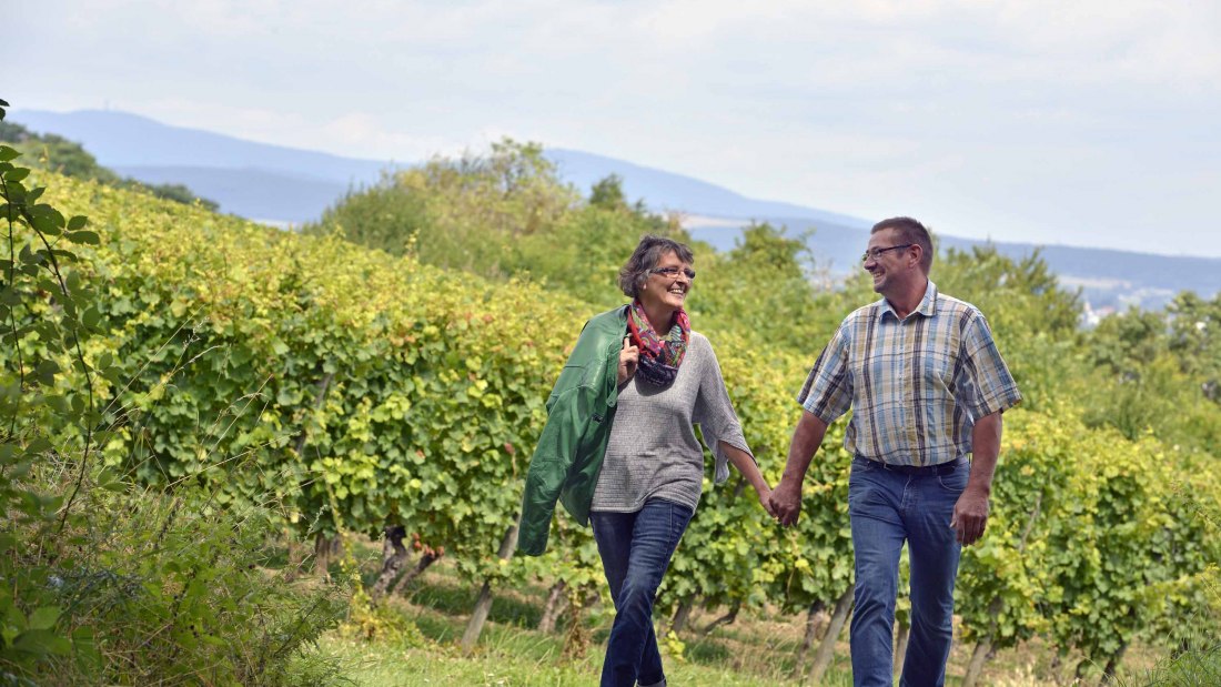winery-stefan-liver, © Weingut Stefan Leber winery-stefan-liver, © Weingut Stefan Leber