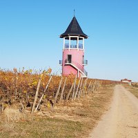 Burgunderturm mit schöner Aussichtsplattform Burgunderturm mit schöner Aussichtsplattform