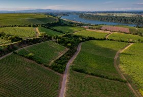 Niersteiner Ölberg Niersteiner Ölberg