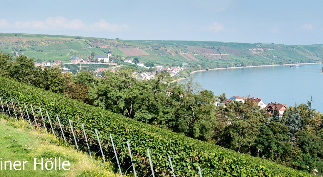 © Weingut Eckehart Gröhl © Weingut Eckehart Gröhl